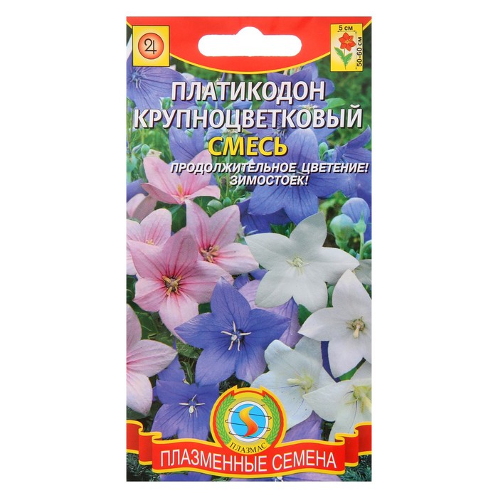 Платикодон семена фото Платикодон семена фото