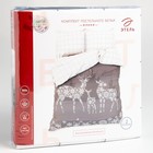 Постельное бельё "Этель" 2 сп Олени 175*215 см, 200*220 см, 70*70 см - 2 шт,бязь 125гр/м2 - фото 42737939
