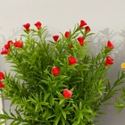 Бонсай "Трава с мелкими цветочками" 9,5х21 см, микс - Фото 2