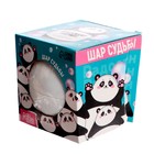 УЦЕНКА Шар желаний белый 7 х 7 см, гадание - Фото 2