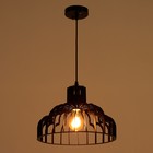 Светильник подвесной BayerLux 1392/1, E27, 40 Вт, чёрный, 30×30×20 см - Фото 3