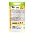 Семена Томат "Цыпочка", Сем. Алт, ц/п, 10 шт - Фото 2