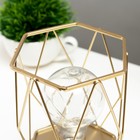 Ночник «Ромб» LED от батареек 3хАА золото 10.5×10.5×15.5 см RISALUX - фото 3768903 Ночник «Ромб» LED от батареек 3хАА золото 10.5×10.5×15.5 см RISALUX - фото 3768903
