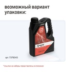 Набор инструментов ТУНДРА, подарочный пластиковый кейс "Канистра", 21 предмет 7379044 - фото 14063643