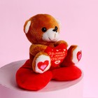 Мягкая игрушка «Нежная», медведь, цвета МИКС - Фото 3