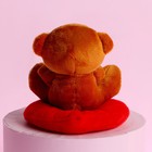 Мягкая игрушка «Нежная», медведь, цвета МИКС - Фото 4