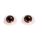 Глаза, набор 10 шт., размер 1 шт: 11,6?15,5 мм, цвет коричневый - фото 653868