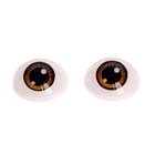 Глаза, набор 8 шт., размер 1 шт: 15,2×20,6 мм, цвет коричневый - фото 9490654