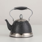Чайник заварочный из нержавеющей стали «Звёздное небо», 1 л, с металлическим ситом, индукция, цвет серый - фото 9490706
