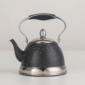 Чайник заварочный из нержавеющей стали «Звёздное небо», 1 л, с металлическим ситом, индукция, цвет серый