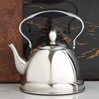 Чайник заварочный из нержавеющей стали «Каприз», 1 л, цвет хромированный - фото 319722219