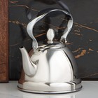 Чайник заварочный из нержавеющей стали «Каприз», 1 л, цвет хромированный - фото 4340300