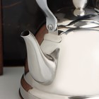 Чайник заварочный из нержавеющей стали «Каприз», 1 л, цвет хромированный - фото 4340302