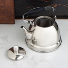 Чайник заварочный из нержавеющей стали «Каприз», 1 л, цвет хромированный - Фото 6