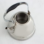 Чайник заварочный из нержавеющей стали «Каприз», 1 л, цвет хромированный - Фото 7