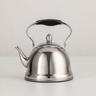 Чайник заварочный из нержавеющей стали «Каприз», 1,2 л, индукция, цвет хромированный - Фото 1