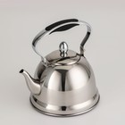 Чайник заварочный из нержавеющей стали «Каприз», 1,2 л, индукция, цвет хромированный - Фото 2