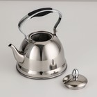 Чайник заварочный из нержавеющей стали «Каприз», 1,2 л, индукция, цвет хромированный - Фото 3