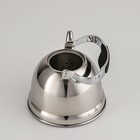 Чайник заварочный из нержавеющей стали «Каприз», 1,2 л, индукция, цвет хромированный - Фото 4