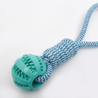 Игрушка канатная плетёная с мячом, до 30 см, до 120 г, голубая - Фото 3