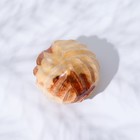 Массажёр «орех», 3,5 см, можжевельник - фото 9491247
