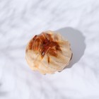 Массажёр «орех», 3,5 см, можжевельник - Фото 2