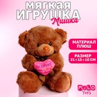 Мягкая игрушка «Ты дороже всего на свете», медведь, цвета МИКС - фото 3867130