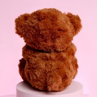 Мягкая игрушка «Ты дороже всего на свете», медведь, цвета МИКС - фото 3867133