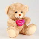 Мягкая игрушка Milo toys «Ты - моё счастье», медведь, 22 см, МИКС - Фото 2