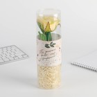 Подарочная ручка в тубусе «С 8 марта», роза, цвет белый - фото 804674017