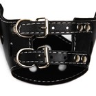 Намордник из прессованной кожи регулируемый, №2, ДН 5 см, ОМ 15-22 см, чёрный - Фото 6