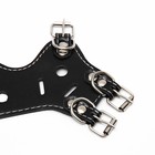 Намордник из прессованной кожи регулируемый, №2, ДН 5 см, ОМ 15-22 см, чёрный - Фото 10