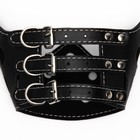 Намордник из прессованной кожи регулируемый, 3 (длина по носу 6.8 см, обхват морды 21-28 см), чёрный - Фото 6