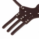 Намордник, №4, ДН 8.8 см, ОМ 29-35 см, регулируемый, пресованная кожа, коричневый - Фото 9