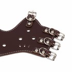 Намордник, №4, ДН 8.8 см, ОМ 29-35 см, регулируемый, пресованная кожа, коричневый - Фото 10