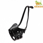 Намордник из прессованной кожи регулируемый, №5, ДН 9,3 см, ОМ 32-40 см, чёрный - Фото 2