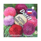 Семена цветов астра "Балун Микс",пионовидная, О, 0,06 г - Фото 1