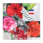 Семена цветов бальзамин Махровый "Афина", смесь, О, 5 шт - Фото 1