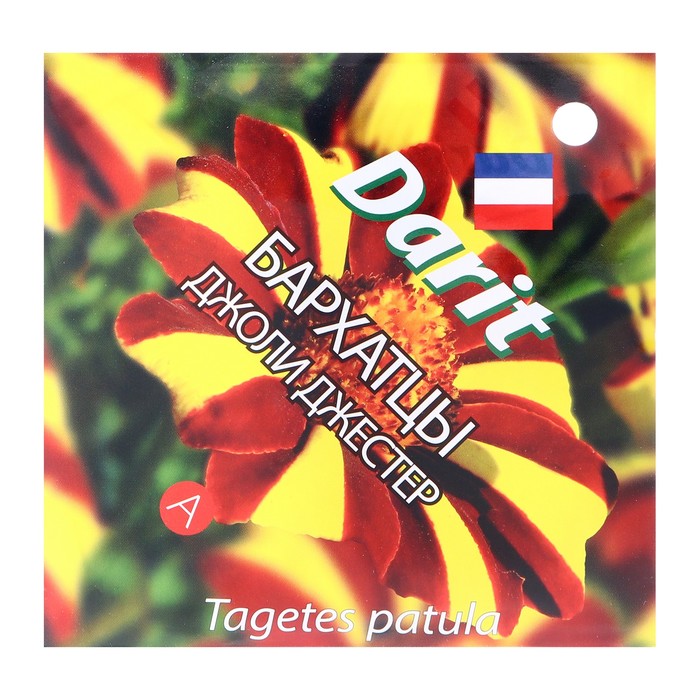 Семена цветов бархатцы "Джоли Джестер", отклоненные, О, 0,3 г - Фото 1