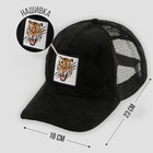 Кепка Tiger, 56-58 рр. 6852839