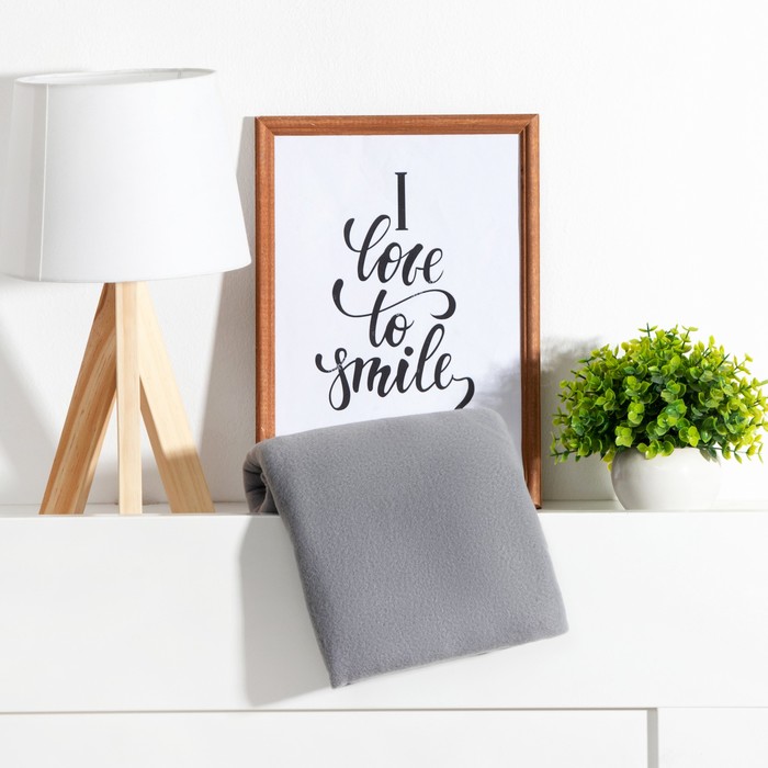 Плед «Экономь и Я», 75×100 см, пл. 160 г/м², 100% п/э, светло-серый - Фото 1