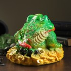 Копилка "Жаба №1" зеленая гипс - Фото 3
