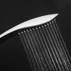 Душевая лейка ZEIN Z0201, 1 режим, 63×250 мм, пластик, цвет черный, хром - Фото 5