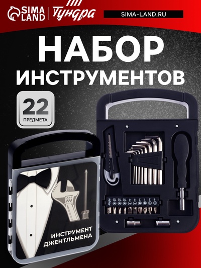 Набор инструментов ТУНДРА, подарочный пластиковый кейс, 22 предмета