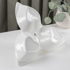 Менажница керамическая 3 ячейки «Марбл», 160 мл, 25.3×23×4.5 см, цвет белый - Фото 3