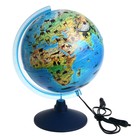 Интерактивный глобус зоогеографический с подсветкой 250мм INT12500306 - фото 9493343