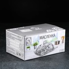 Маслёнка стеклянная «Венеция», 17×12 см - Фото 4