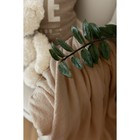 Плед Guten Morgen Ginger, фланель, размер 100х150 см, цвет коричневый - фото 28092835