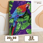 Картина по номерам на холсте с подрамником «Попугай» 20х30 см - фото 7711752