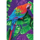 Картина по номерам на холсте с подрамником «Попугай» 20х30 см - Фото 2
